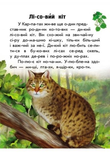 Украинская книга читаем по слогам «Животный мир» - фото 3