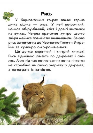 Украинская книга читаем по слогам «Животный мир» - фото 2