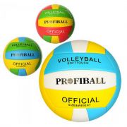 М'яч волейбольный офіційний розмір вага 300 г EN3248