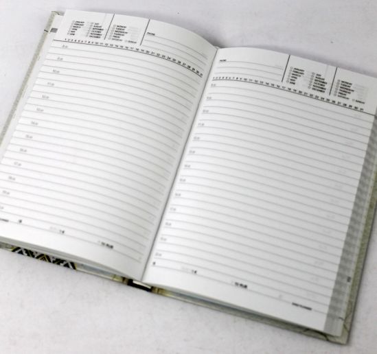 Дневник недатированный БК35-1 - фото 2