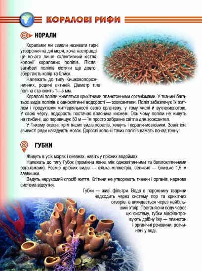 Украинская энциклопедия для любознательных «Жители морей и океанов» - фото 2