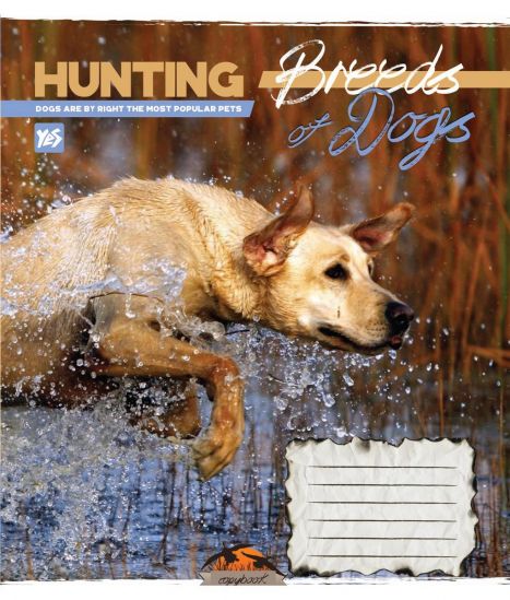 Упаковка тетрадей «Hunting dogs» клетка 48 л - фото 2