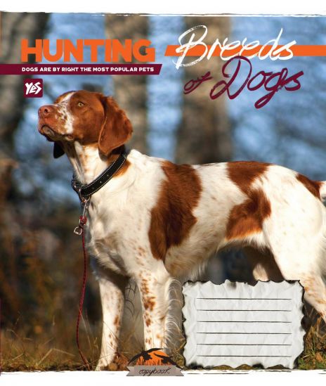 Упаковка тетрадей «Hunting dogs» клетка 48 л - фото 3