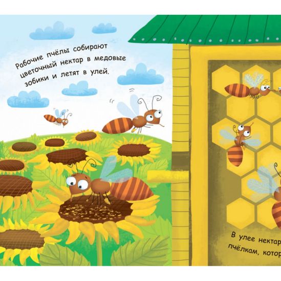 Моя первая энциклопедия «Как получается мёд» - фото 7