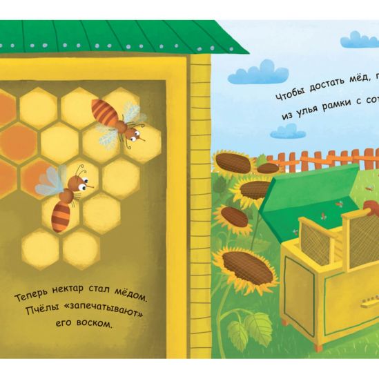 Моя первая энциклопедия «Как получается мёд» - фото 6