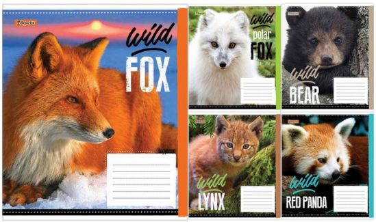 Упаковка тетрадей «Wild fox» линия 48 л - фото 1