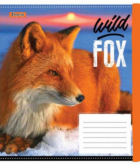 Упаковка тетрадей «Wild fox» линия 48 л - фото 2