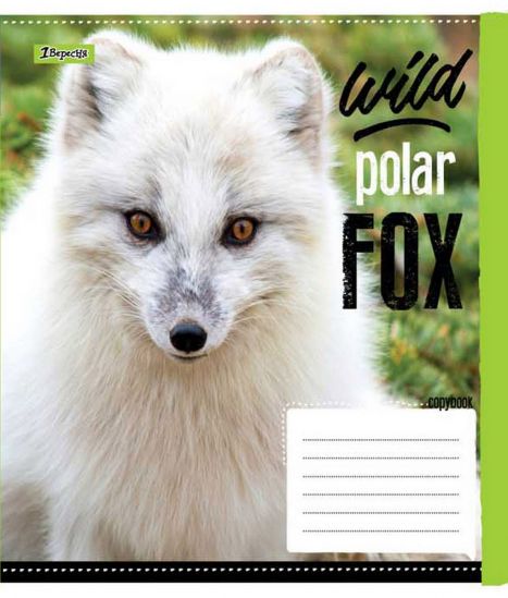Упаковка тетрадей «Wild fox» линия 48 л - фото 3