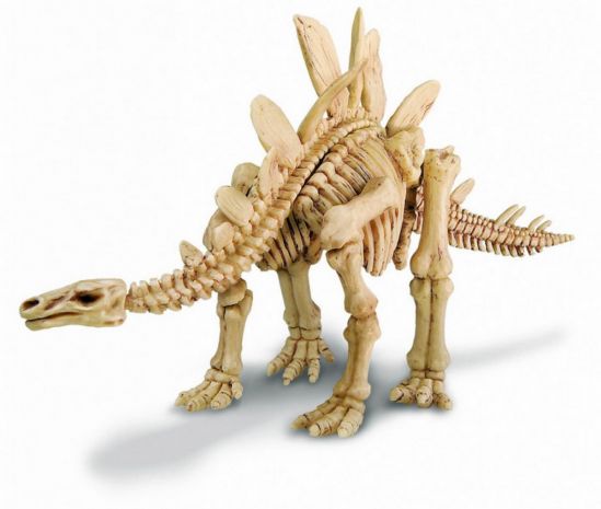 Археологические раскопки динозавра «Стегозавр» - фото 3