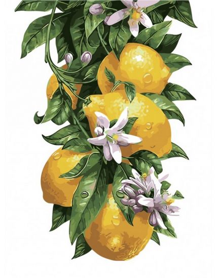 Роспись по номерам «Лимонное дерево» - фото 1