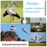 Народні символи України: значення, історія та сучасне життя