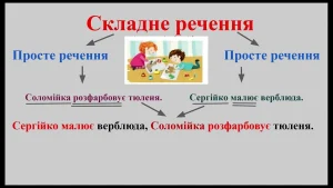 skladne-rechennia-pryklady-ta-vydy-z-poiasnenniamy-f6c4