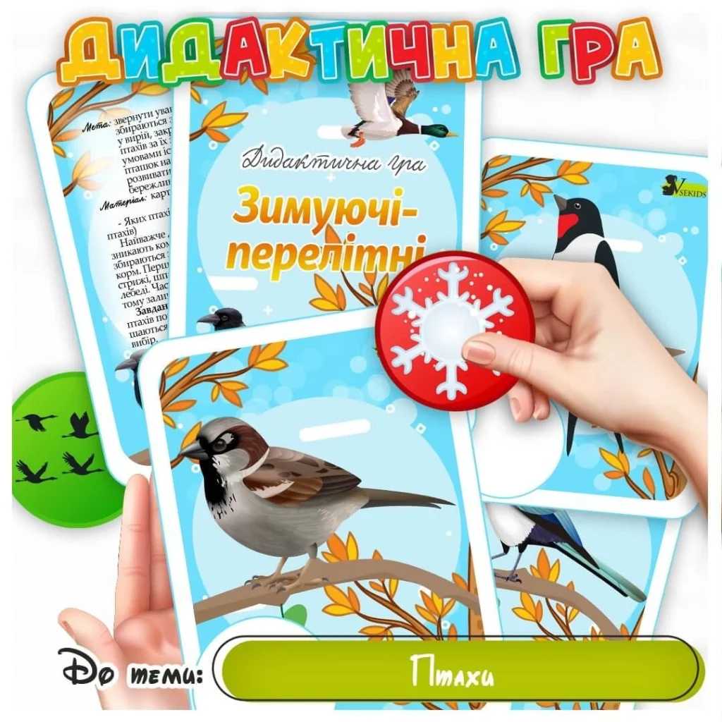 dydaktychna-hra-ptakhy-iak-rozvyvaty-dytynu-cherez-piznannia-pernatykh-6a66
