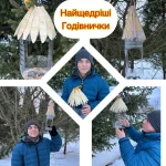 Годівничка для синички: як зробити і чим годувати