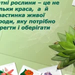 Як доглядати за кімнатними рослинами: секрети здорового зеленого куточка