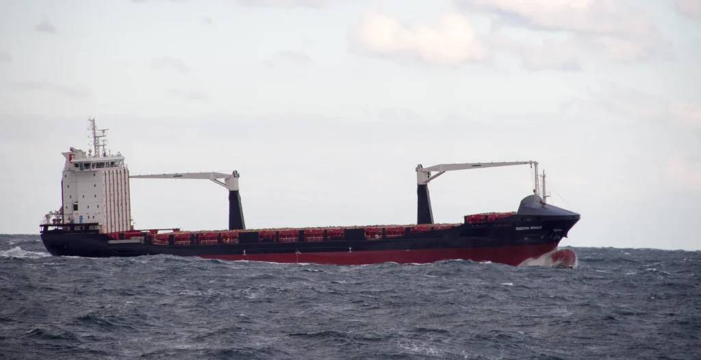 Контейнеровоз REECON WHALE з червоним корпусом пливе бурхливим Чорним морем