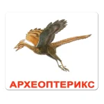 Види динозаврів для дітей: карта, яку легко запам’ятати