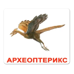 vydy-dynozavriv-dlia-ditei-karta-iaku-lehko-zapamiataty-d851