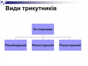 vydy-trykutnykiv-klasyfikatsiia-za-storonamy-ta-kutamy-7469